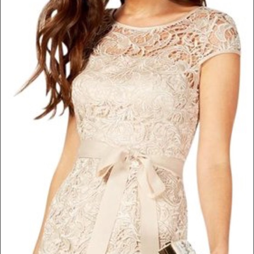 Adrianna Papell Illusion Lace Sheath Dress